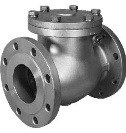 Check Valves (Swing & Piston)